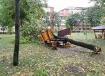 Силна буря отне живота на 8 души в Румъния