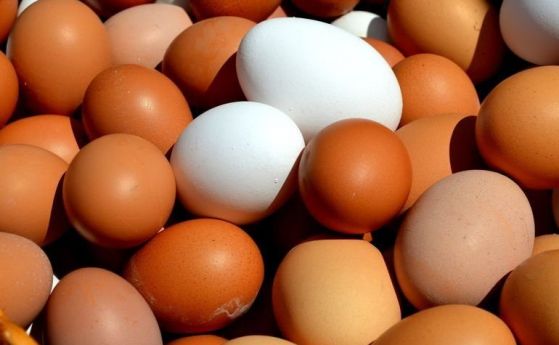 215 000 яйца с инсектицида фипронил са открити в склад