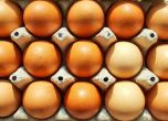 БАБХ успокои гърци и румънци: Количеството фипронил в яйцата не е опасно