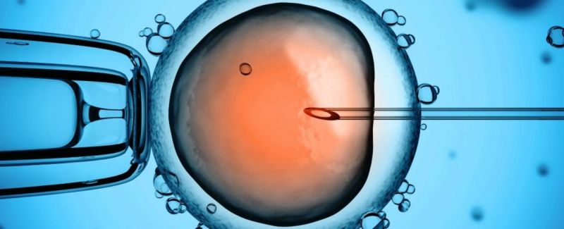 Китайски учени извършиха химическа операция върху човешки ембрион и успяха