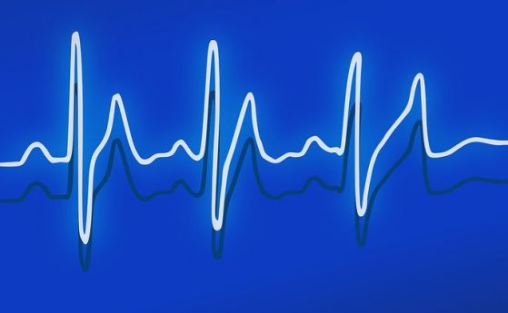 Държавата отписа като неспасяеми сиамските близнаци от Сливен въпреки мнението на чужди