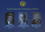 Нобеловата награда за медицина отиде за откритие за биологичния часовник