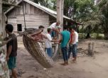 Индонезиец пребори 8-метров питон, селяни пируваха със змийско