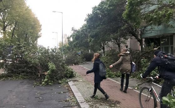 Буря уби седем души в Германия