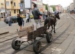 Пиян каруцар предизвика катастрофа в София, конят загина