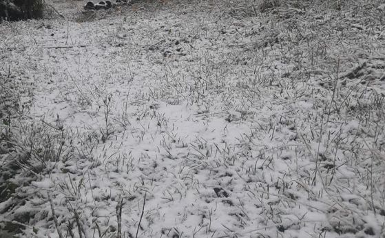 Снежна покривка на Петрохан, шофьори с летни гуми по пътищата