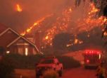 10 жертви, 20 хил. евакуирани от Калифорния: огнена стихия унищожава винарския район