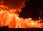 Антирекорд: Над 30 са жертвите от пожарите в Северна Калифорния