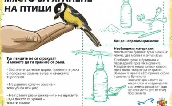 Алея на птиците откриват в Борисовата градина днес