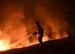 36 жертви на пожарите в Португалия, страната обяви тридневен траур