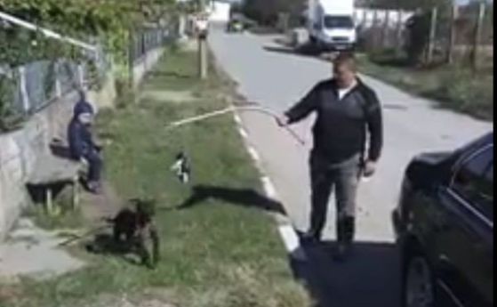 Мъж използва коте като жива стръв, за да учи бойното си куче, пред детето си