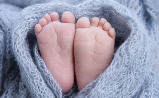 Близо 3000 бебета родени в Майчин дом от началото на годината