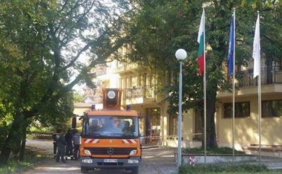 Стогодишно дърво падна върху хотел в Хисаря, евакуират туристи