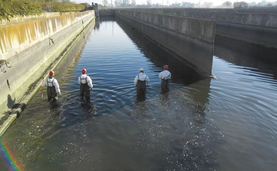 Над 1 3 тон риба 350 кг отплува във водите на