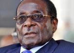 Мугабе подготвил оставката си, с жена му получават пълен имунитет