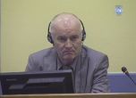 Хагският трибунал осъди Ратко Младич на доживотен затвор