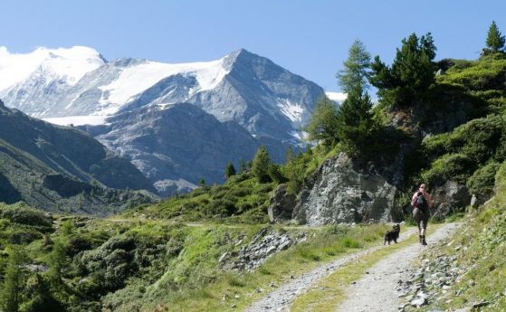 Швейцарското селце Албинен което предложи по 25 000 швейцарски франка