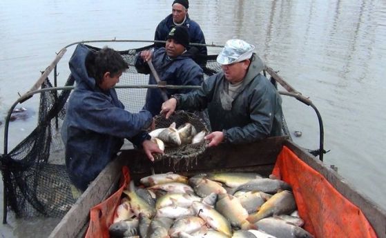 300 кг незаконно уловена риба задържаха в Бургас