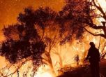 Пожарът в Калифорния по-голям от Ню Йорк