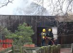 Пожар избухна в Лондонския зоопарк