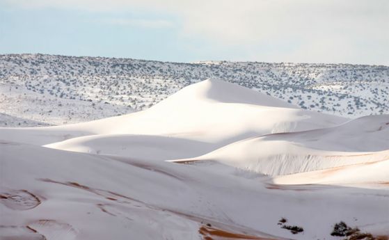 За втора поредна година в Сахара заваля сняг   Хората от