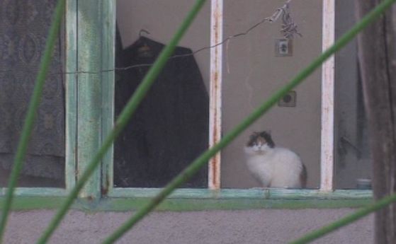 Арестуваха майка в Свищов, години наред държала дъщерите си заключени и в мизерия