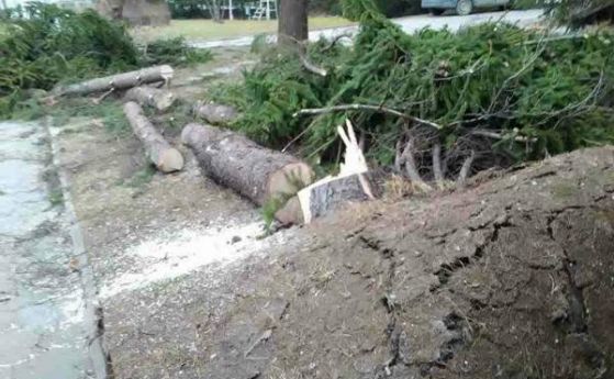 Властите в Смолян призоваха жителите да останат по домовете си