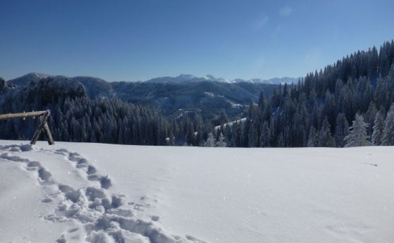 Мразовити сутрини и повече слънце през деня ще има през