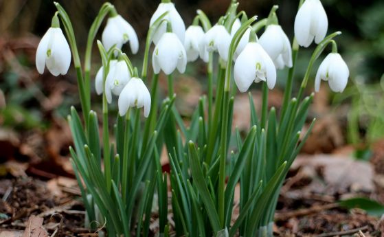 Слънчево ще е времето днес ще духа слаб западен вятър