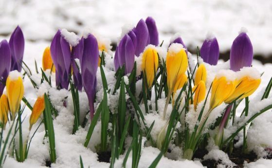 Февруари започва със слънце хубавото време ще продължи и утре