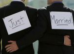 Сова Харис: 70% от българите са против гей браковете