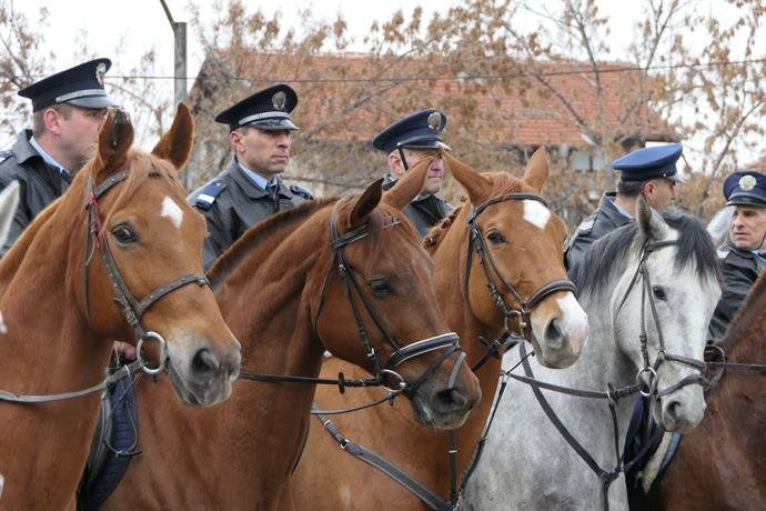 Конни полицаи от СДВР показаха майсторска езда на стадиона в