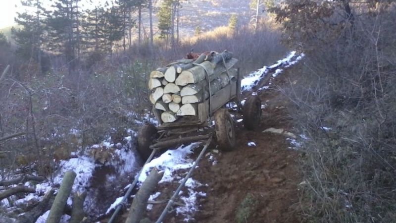 Двама бракониери са нападнали горски служители от участъка в Котел