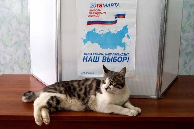 Властите в Русия превърнаха президентските избори в атракция, привличаща избиратели.