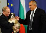 Борисов поздрави Путин за изборната победа