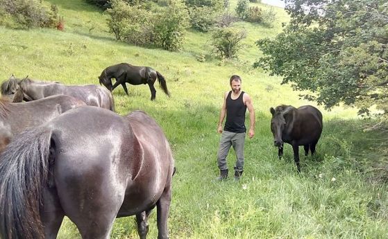Петър Пищалов собственикът на бедстващите коне в Осоговската планина