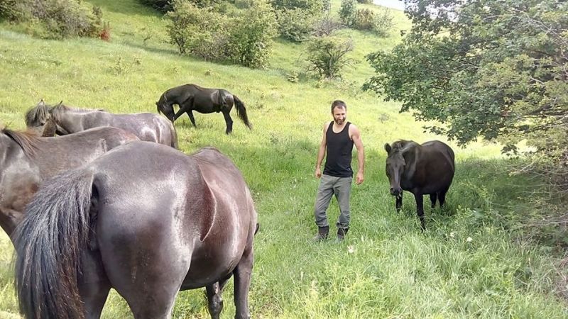 Петър Пищалов - собственикът на бедстващите коне в Осоговската планина,