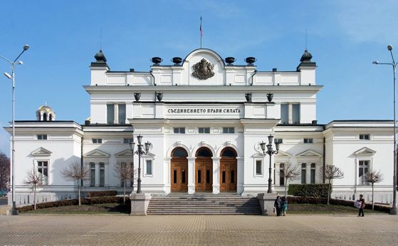 Младежката организация на Движение България на гражданите организира флашмоб пред