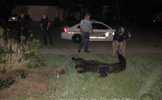 Полицията във Флорида публикува в социалната мрежа Facebook снимки и