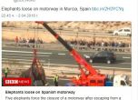 Камион със слонове катастрофира в Испания