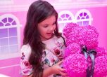 Николета Лозанова отпразнува 6-ия рожден ден на дъщеря си с пищно Барби парти (галерия)