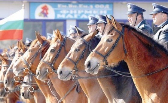 Фандъкова: Ще има конен патрул в Западен парк заради сечта на дървета