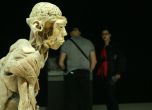 Откриха изложба на истински човешки тела в столичен мол (видео)