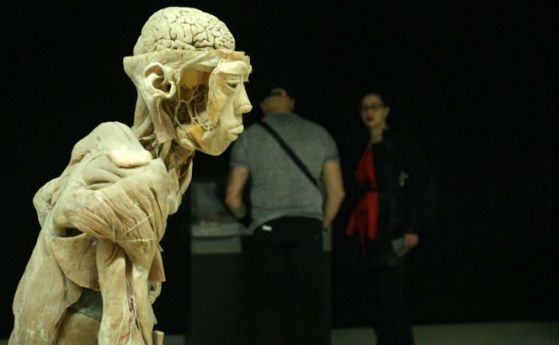 Откриха изложба на истински човешки тела в столичен мол (видео)