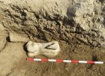 Археолози откриха торс на божество в Хераклея Синтика