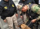 Двама българи са арестувани в Перу за превоз на 380 килограма кокаин