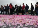 Розопроизводители излязоха на протест заради ниски изкупни цени