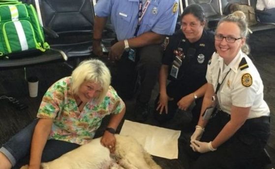 Снимки: Куче-водач изненадващо роди 8 кутрета на летище във Флорида