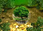 9 идеи за по-екологичен живот