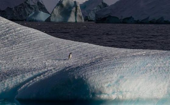Три пъти по-бързо се топят ледниците в Антарктида (видео)